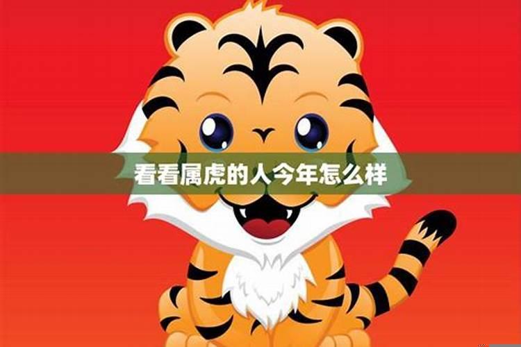 属虎的2021年感情