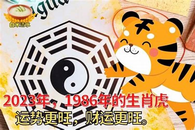 2020属虎的运势和财运1986年