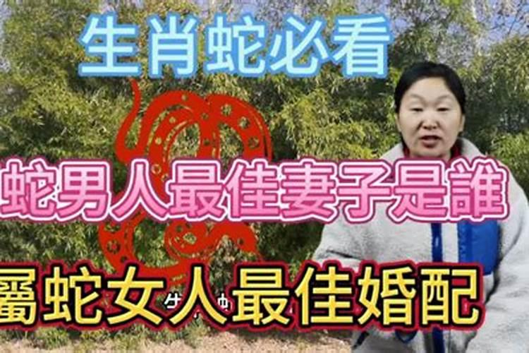 属蛇男人最佳妻子婚配