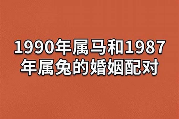 99年属兔跟90年属马