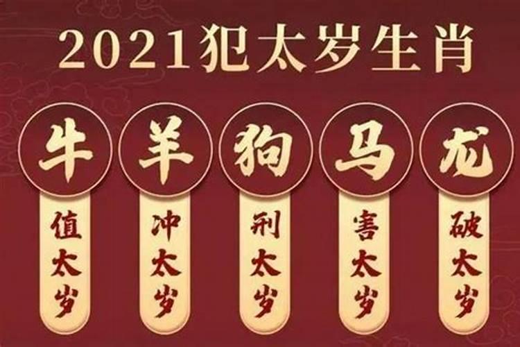 2021今年犯太岁属相