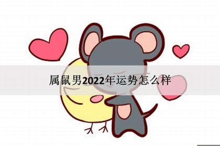 属鼠男2022年运势及运程详解