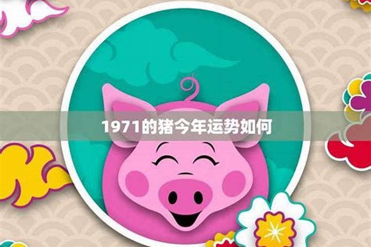 71年属猪正月出生幸运数字是几