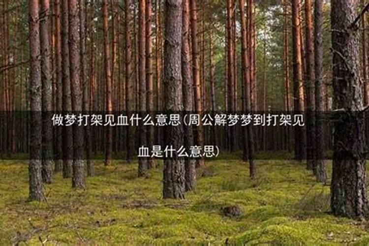 做梦梦到了打架是什么意思