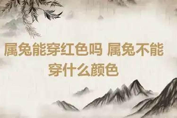 属兔今年不能穿什么颜色