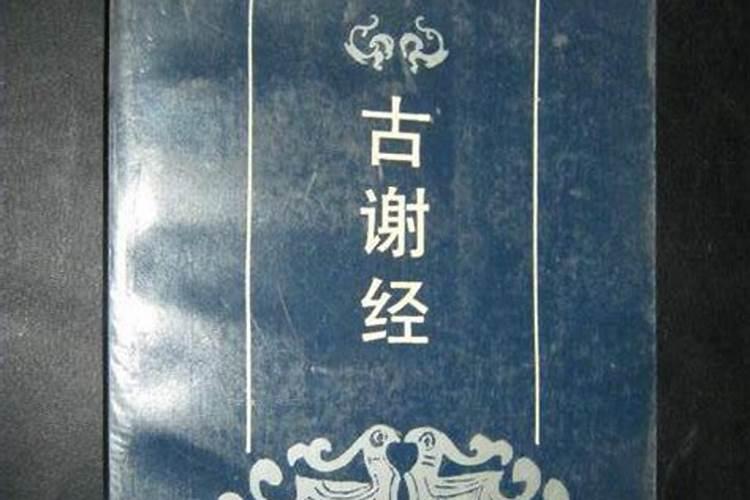 属兔和属鼠八字合吗