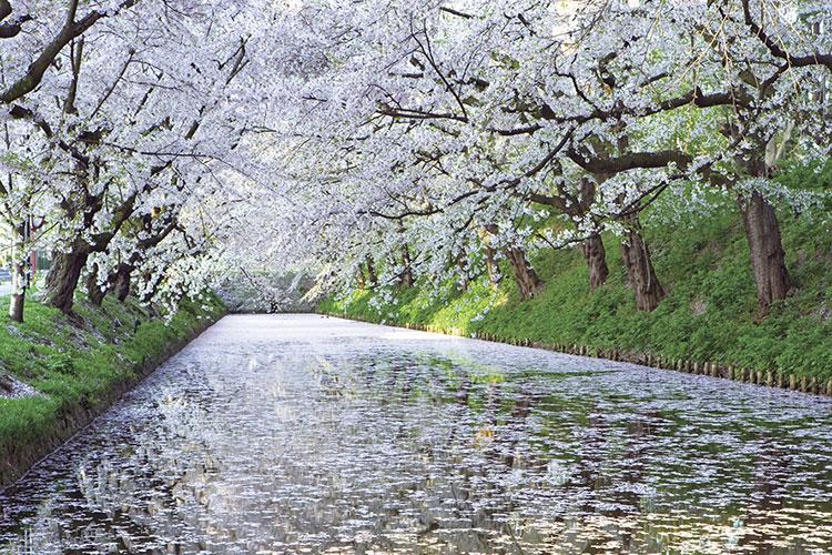 2020年11月26日特吉生肖