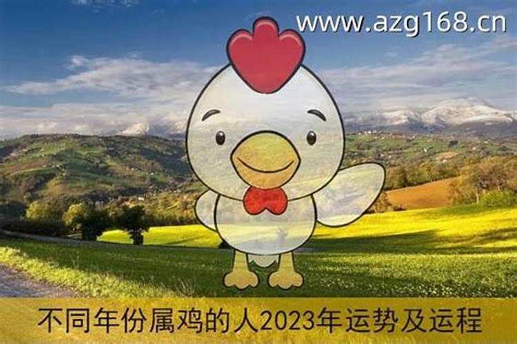 属鸡2023年运势如何