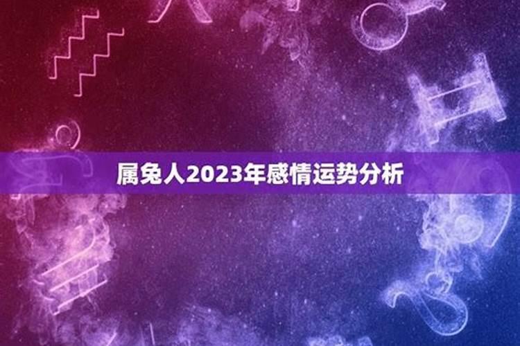 2023年属兔人的命运和婚姻