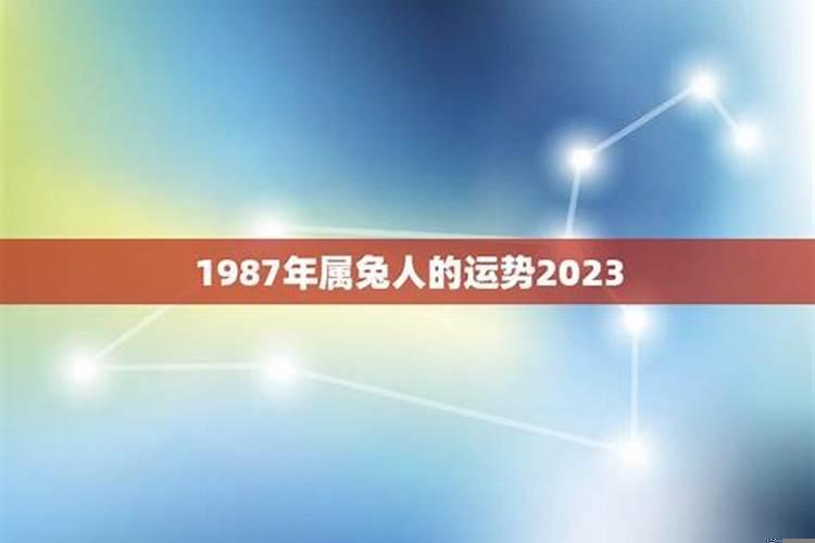 属兔人在2023年运势