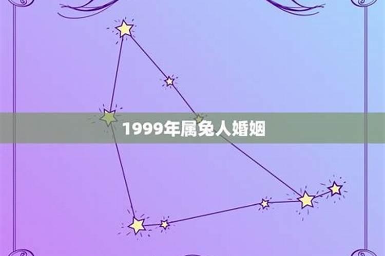 1999年属兔今年婚姻会成功吗