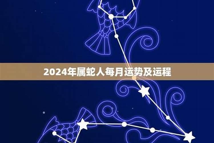 属蛇2024年运势及运程每月运程