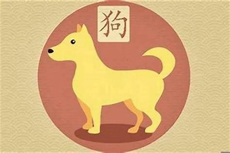 属狗的今年小人是属什么