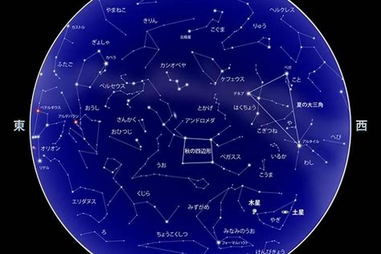 2020年11月14日十二星座运势