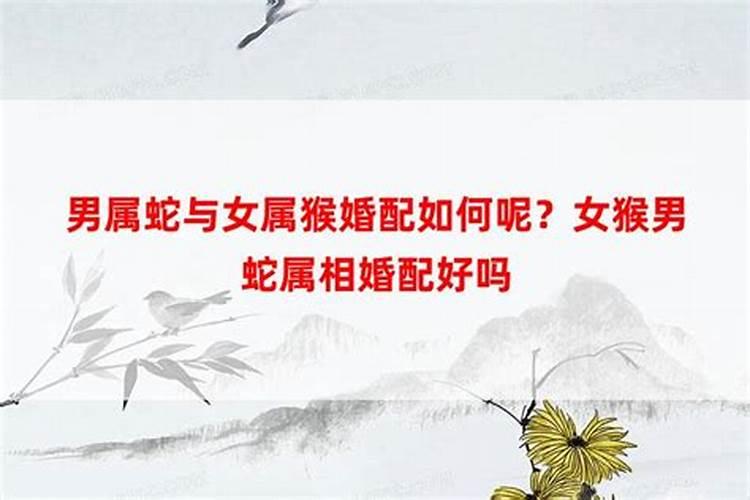 婚配是以年份属相还是时辰属相为准