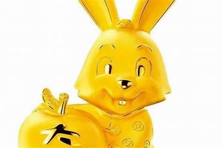 属兔今年运势及财运方位