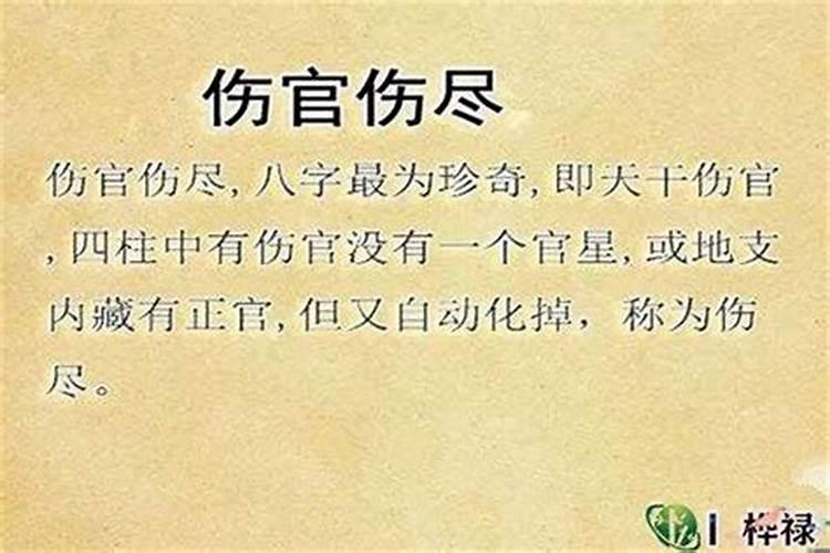 八字劫财伤官多的男人命运