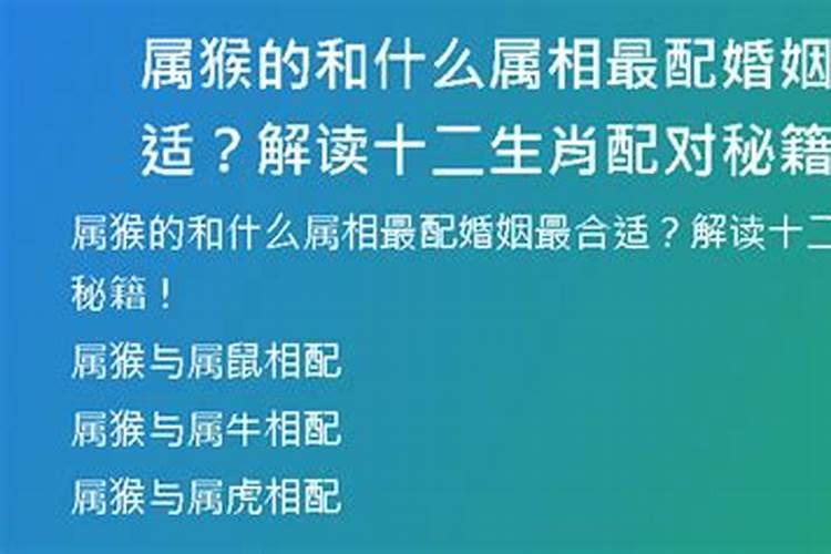 属猴的和什么婚配最合适