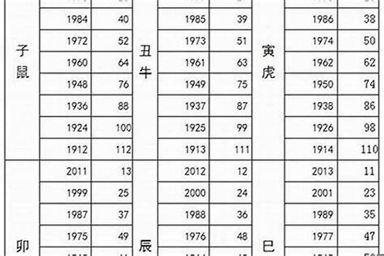 属猪本命年分别在几岁了