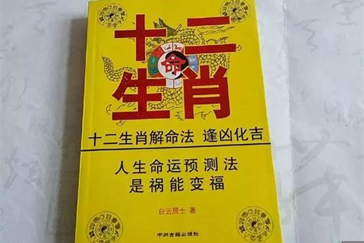 命好运势不好