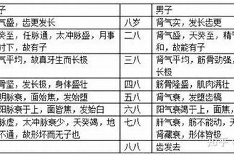 补财库都需要烧化什么