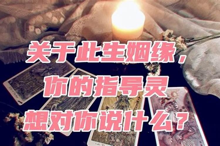 属鼠什么时候走大运好