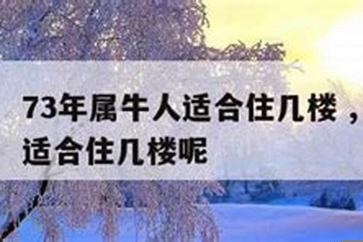 73年属牛人适合住的楼层