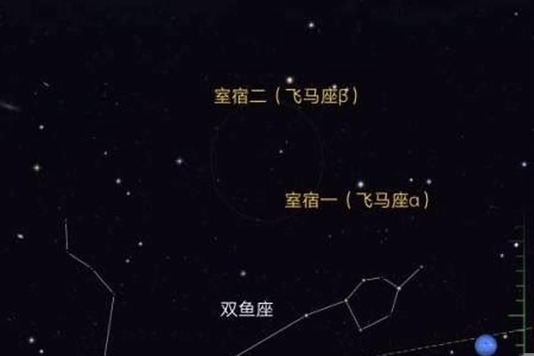 我11月28日出生是什么星座的