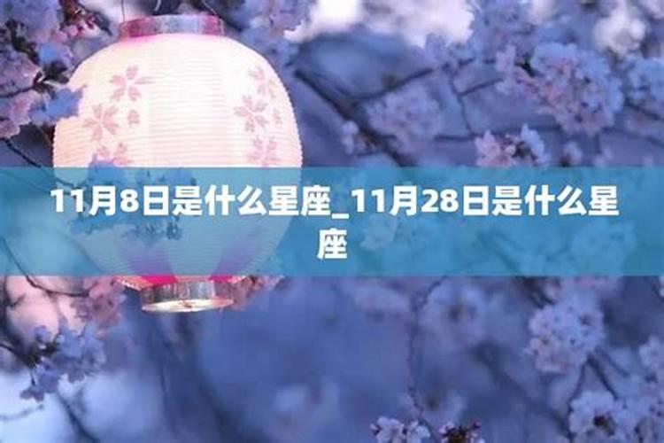 11月28日是什么星座