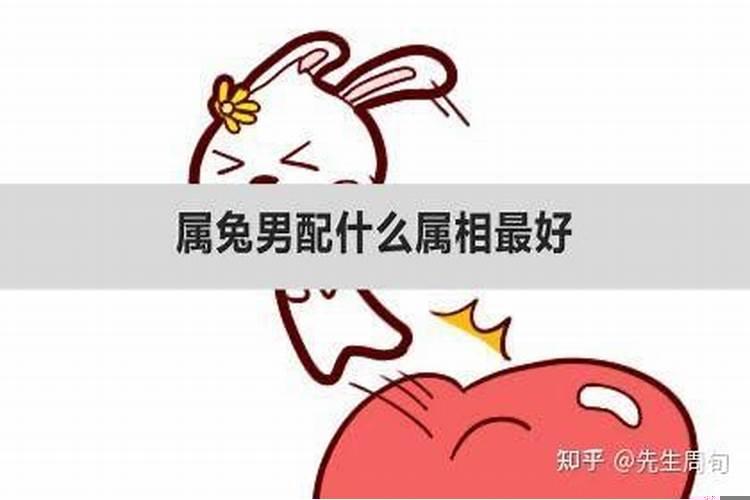 男兔的婚配什么生肖禁配