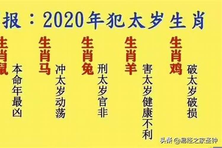 2020年鼠年犯太岁的四个属相女