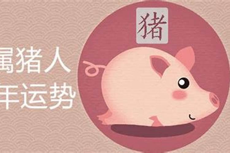 属猪今年运势2021