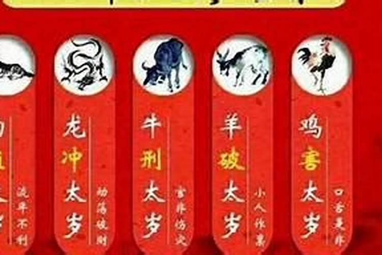 属兔人牛年好不好