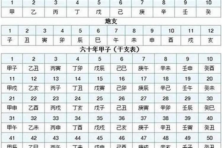 戊辰乙卯甲子丙寅八字