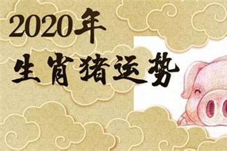 算命运势2020年运势免费