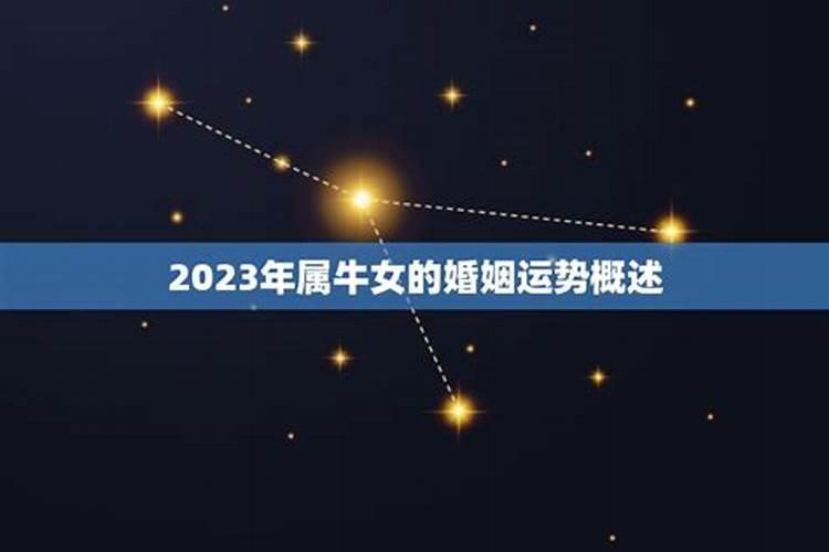 2022年属牛女的婚姻