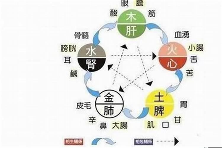 五行缺水的人怎么提高财运和运势