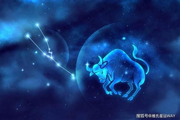 星座金牛座今日运