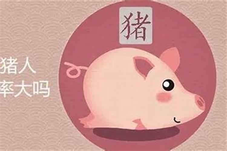 属猪今年婚姻顺利吗2021年运势