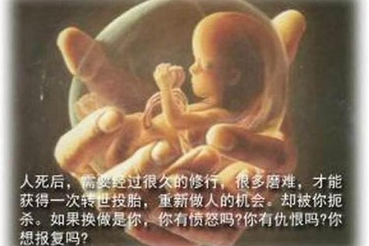 如何超度堕胎婴儿