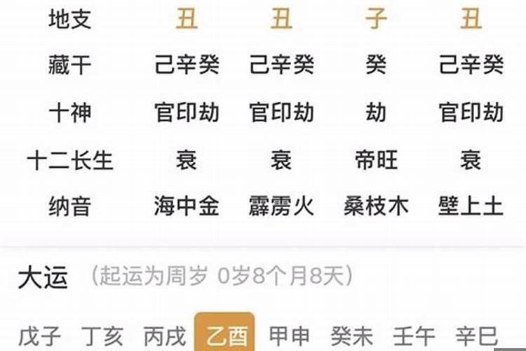 己酉年丁丑月丁亥日庚子时八字
