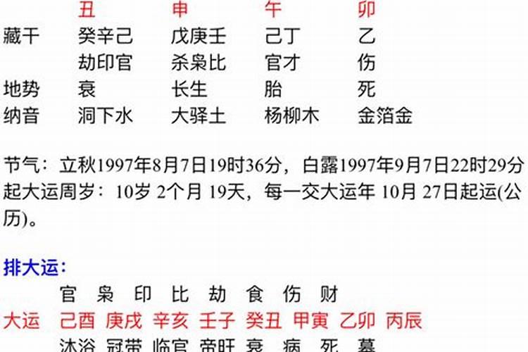 己酉年丁丑月丁亥日庚子时八字