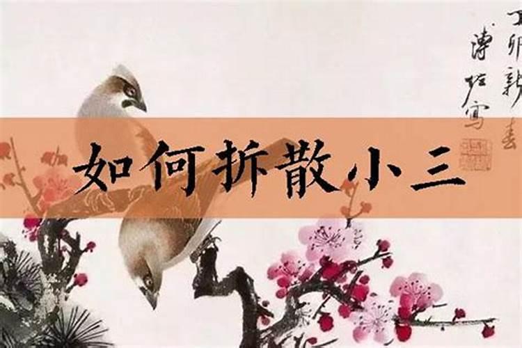 属猪的订婚吉日2021年结婚