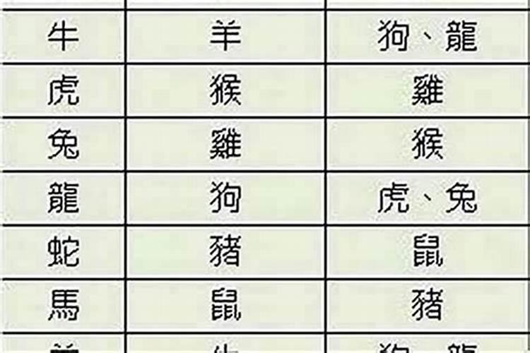 生肖配对真的可信吗知乎