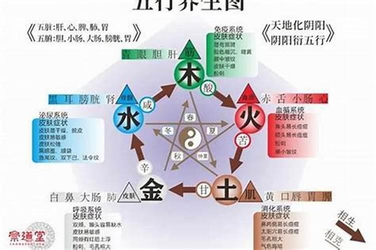 五行缺木和缺水的两人结合