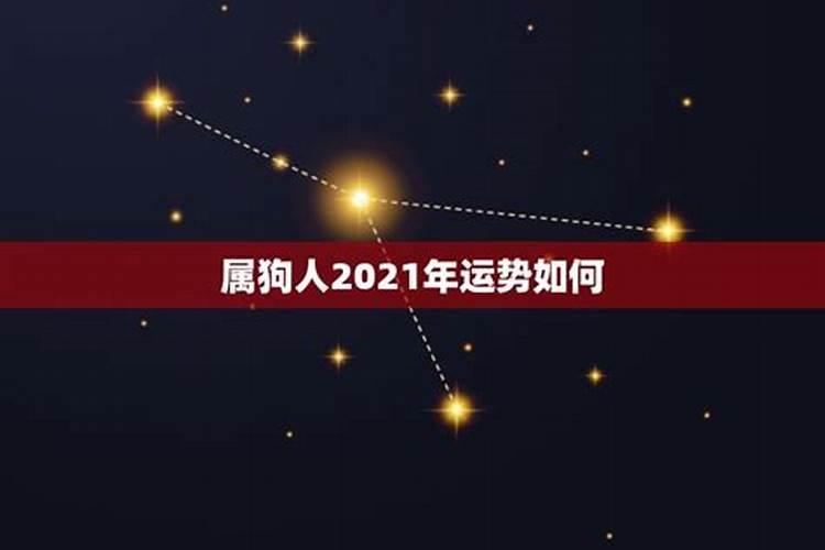 属狗的今年有小人陷害吗