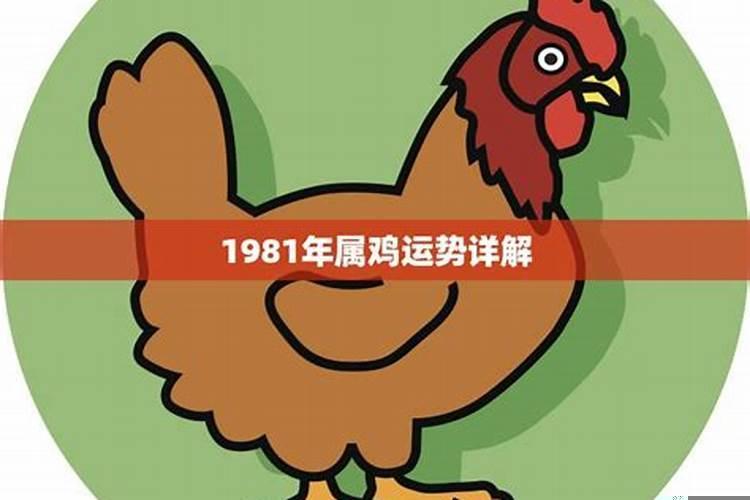 1981年属鸡运势