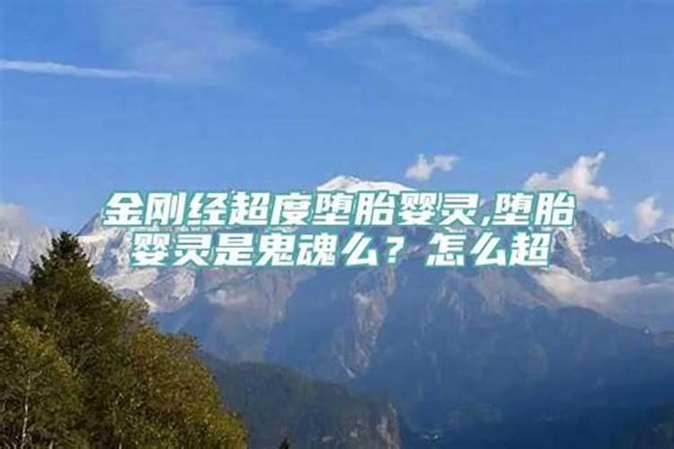 属兔的人爱情运势怎么样