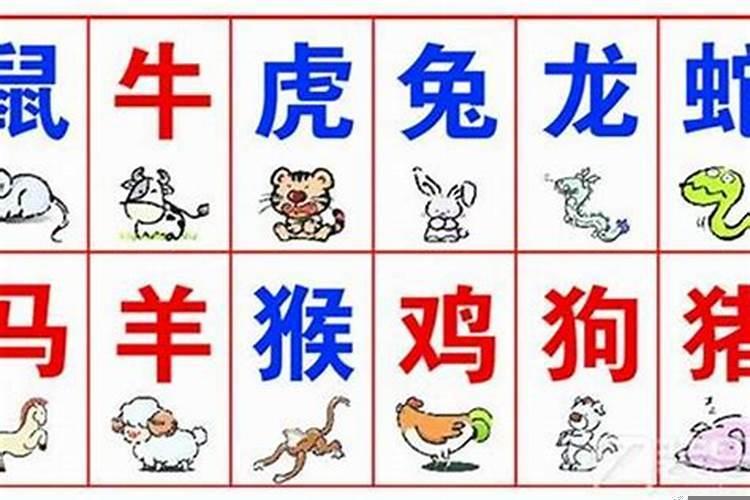 属相和八字不合怎么办