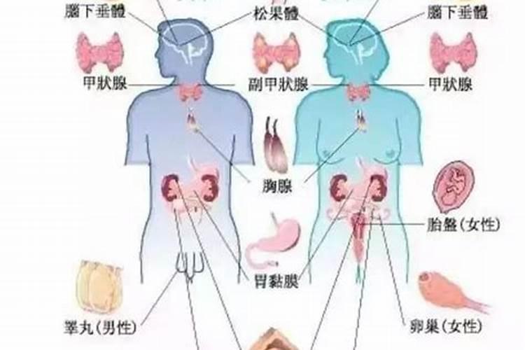 生肖每月运势2021年运程详解